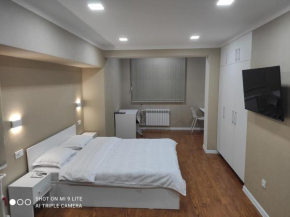 1-bedroom Apartment in the very city center (Shedevr)